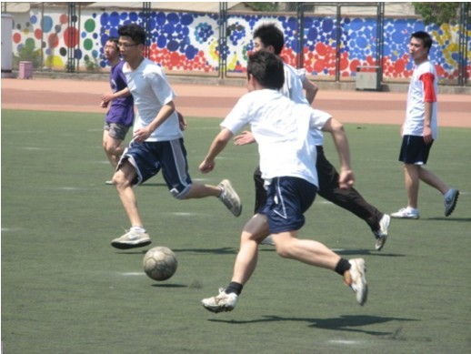 成功能性修 成功能性修